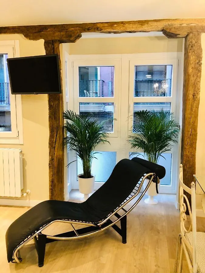 Lauramer Apartamento Bilbao Apartment